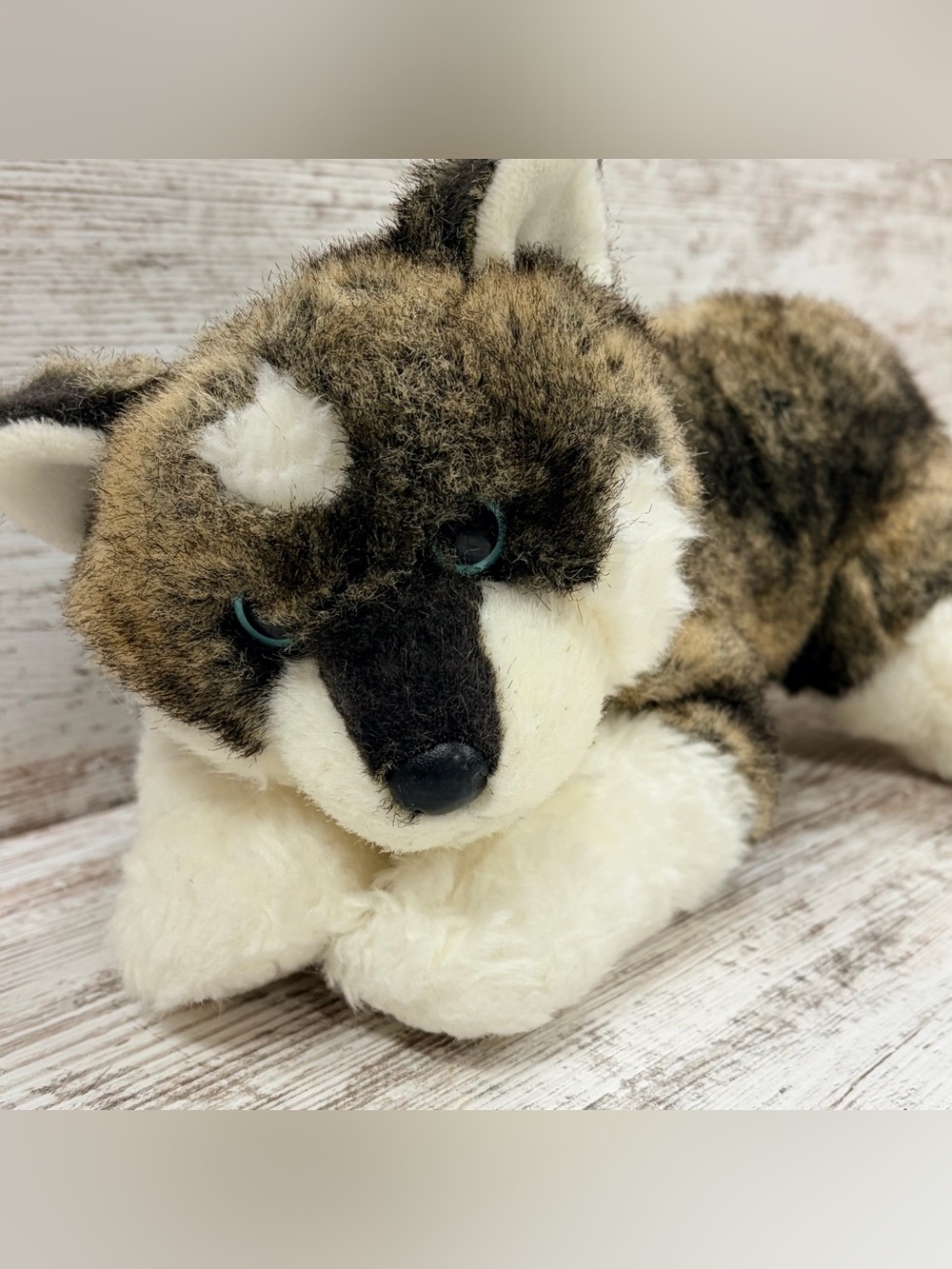 Ty Classics Thunder Husky Malamute Dog Puppy Plush Stuffed Animal 2006 Blue Eyes